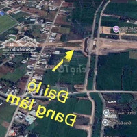 Chính Chủ Bán Gấp Lô Đất 150M Thổ Cư, Shr, Đức Hòa Thượng, Long An