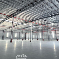 Cho Thuê Kho Xưởng Kcn Phú An Thạnh, Long An, Diện Tích : 4.000M2 - 5.000M2, Pccc Tự Động
