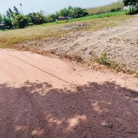 Bán Gấp Lô Đất Tại Dt788 Hảo Đước- Châu Thành Full Tc 193M2/290 Triệu- Shr