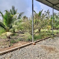 Bán Nhà Yến Kết Hợp Vườn Trái Cây, Ao Cá 5279M2, Có 140M2 Thổ Cư Tại Xuân Bảo, Cẩm Mỹ, Đồng Nai
