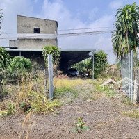 Bán Nhà Yến Kết Hợp Vườn Trái Cây, Ao Cá 5279M2, Có 140M2 Thổ Cư Tại Xuân Bảo, Cẩm Mỹ, Đồng Nai