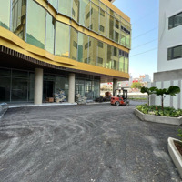 Bán Căn 3 Phòng Ngủ- 2 Vệ Sinh90M2 View Đẹp Giá Bán 6Tỷ350 Tại D - Homme Hồng Bàng Quận 6