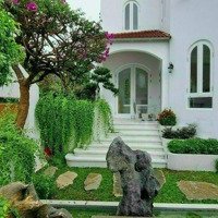 Bán Toà Nhà 45 Phòng Chdv Khu Đảo Kim Cương- Quận 2 - 7.4 X 22M - Hầm 7 Tầng Chỉ 33 Tỷ