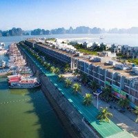 Cơ Hội Đầu Tư Hiếm Có Lô Đất Mặt Biển Hạ Long 105M2, Giá Chỉ 54 Triệu/M2