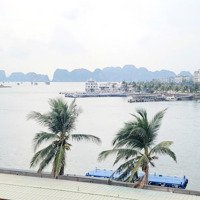Cơ Hội Đầu Tư Hiếm Có Lô Đất Mặt Biển Hạ Long 105M2, Giá Chỉ 54 Triệu/M2