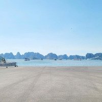 Cơ Hội Đầu Tư Hiếm Có Lô Đất Mặt Biển Hạ Long 105M2, Giá Chỉ 54 Triệu/M2