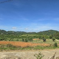 Cần Bán Sỉ 44 Nền Tại Lộc Thành - Bảo Lâm, Đã Tách Sẵn Sổ