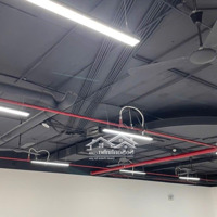 Chính Chủ Bán Sàn Văn Phòng 126.4M2 Sổ Lâu Dài Tại Mỹ Đình Đang Cho Thuê Tháng 30 Triệu / Tháng