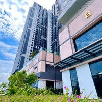 Ht Pearl Căn Hộ Sổ Sẵn Liền Kề Làng Đại Học Thanh Toán 260 Triệu Nhận Nhà Ở Ngay