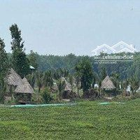Cần Bán Siêu Phẩm Nghỉ Dưỡng - View Tuyệt Đẹp Địa Chỉ: Xã Nha Bích, Huyện Chơn Thành, Bình Phước