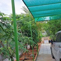 Bán Nhà Vườn Xã Bình Mỹ Củ Chi, Đường Ôtô, 523M2, 15X35M, Sẵn Nhà Vườn Trồng Nhiều Loại Cây Ăn Trái