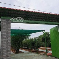 Bán Nhà Vườn Xã Bình Mỹ Củ Chi, Đường Ôtô, 523M2, 15X35M, Sẵn Nhà Vườn Trồng Nhiều Loại Cây Ăn Trái