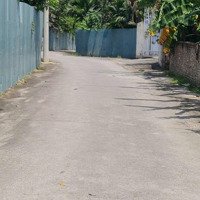 52M2 Bìa Làng Tiên Hùng, Nguyên Khê, Đông Anh, Hà Nội Gần 4 Tỷ