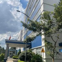 Chính Chủ Cho Thuê Gấp Mbkdmặt Tiềnphạm Hữu Lầu, Q7 - Gần Chợ Phước Long Cực Kỳ Sầm Uất -Diện Tích5X25M