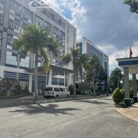 Chính Chủ Cho Thuê Gấp Mbkdmặt Tiềnphạm Hữu Lầu, Q7 - Gần Chợ Phước Long Cực Kỳ Sầm Uất -Diện Tích5X25M