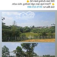 Bán Gấp 2500M2 Cư Yên Lương Sơn