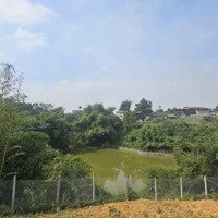 Bán Gấp 2500M2 Cư Yên Lương Sơn
