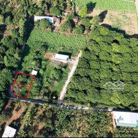 Lô Thổ Cư Góc 2 Mặt Tiền 10X20M Full Thổ Cư, Sổ Hồng Riêng, Ngân Hàng Hỗ Trợ, Chỉ Với Giá Bán 1Ty2