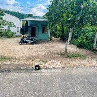Cho Con Du Học Chủ Cần Bán Gấp Nền Thổ Cư Dầu Giây Giá Tốt Chỉ 695 Triệu/100M2 , Ngân Hàng Hỗ Trợ 50%