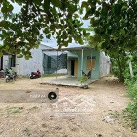 Cho Con Du Học Chủ Cần Bán Gấp Nền Thổ Cư Dầu Giây Giá Tốt Chỉ 695 Triệu/100M2 , Ngân Hàng Hỗ Trợ 50%