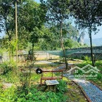 Nhà Vườn Long Khánh Khu Vực Phát Triển Tiềm Năng, Sẵn Nhà Vườn, Cây Ăn Trái Giá Chỉ 750 Triệu