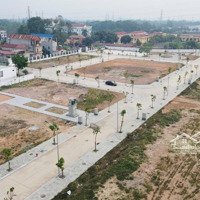 Bán Gấp Đất Nền Dự Án 95M2 Tại Khu Đô Thị Tân Hương, 19 Triệu / M2