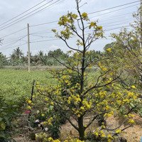 255M2 View Sông Sẵn Thổ Cư Ven Tphcm Chỉ 285 Triệu