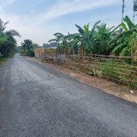 Bán 2370M2, 700M2 Thổ Cư 2 Mặt Tiền Đường Nhựa Giá Bán 14 Tỷ Đường Kênh A Xã Lê Minh Xuân, Bình Chánh.