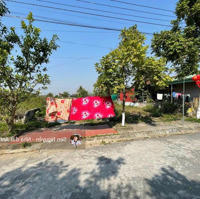 Sản Phẩm Đường Nhựa Tân Thành - Giá Chỉ 1X Triệu/M2