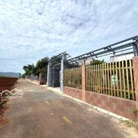 Bán Đất Thổ Cư 100M2 Tại Xã Thanh Bình, Trảng Bom Đồng Nai