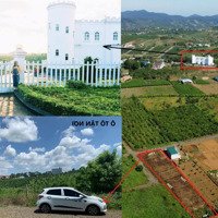 Bán 1030M2 Đất Đam Bri, Bảo Lộc Gần Với Lý Thái Tổ Và Điểm Du Lịch Lâu Đài Trắng Giá Rẻ
