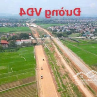 Bán Đất Tại Đấu Giá Bạch Kim Hoa, 58,5 Triệu, 105M2, Hàng Hiếm Tại Đây!