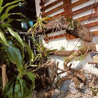 Căn Hộ Fpt Plaza 1 Tầng Thấp 2 Phòng Ngủ