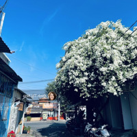 Duy Nhất! Biệt Thự Mini Gần Vincom, Đường Sách, 137M, 4 Tầng, Chỉ 14,5 Tỷ!