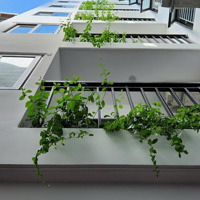 Chính Chủ Cần Bán Tòa Nhà 25 Phòng Khép Kín Phun Nội Thất Phố Thụy Khuê Tây Hồdiện Tích110 M2 X 8T Đẹp