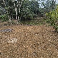 Bán Khu Nghỉ Dưỡng Sẵn Nhà + Ao,Víu Đồi Chè Tại Tân Sơn, Phú Thọ, 4000 M2 Giá Chỉ Hơn 200K/M2