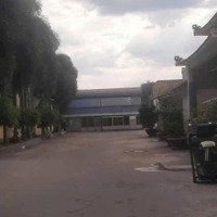 Cần Bán Xưởng 9000M2 Tại Bến Cát Bình Dương