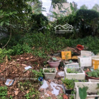 Kẹt Tiền Bán Lô Đất 120M2 Giá Bán 800 Triệu Đường Lê Thị Kim, Xuân Thới Sơn, Hóc Môn, Tp Hồ Chí Minh.