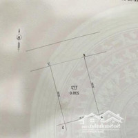 Bán 236M Đât 31Ha Trâu Quỳ Gia Lâmmặt Tiền12M/Siêu Rẻ/Chỉ 102 Triệu/M/Rẻ Nhất Khu Hót Hót Siêu Rẻ!