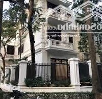 Bán gấp biệt thự khu D Ciputra 276m2  nhà căn góc