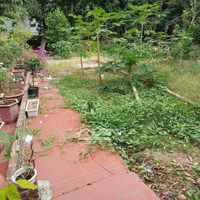 Chính Chủ Mình Bán 45,7M2 Đất Tân Lập - Đan Phượng - Hà Nội