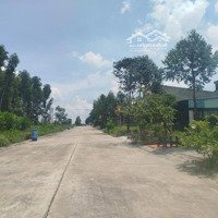 Chính Chủ Cần Bán Lô Đất 200M2 Giá Bán 650 Triệu, Ngay Đường Bình Chuẩn 34, Bình Chuẩn, Thuân An, Sổ Riêng