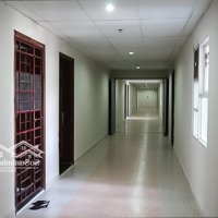 Cho Thuê Căn Hộ 2 Phòng Ngủ 2 Vệ Sinh 65M2 Tại Bàu Cát Ii, 9 Triệu Vnd