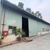 Ct Kho Xưởng Mặt Đại Lộ Thăng Long, Ngay Cầu Vượt An Khánhdiện Tích200M, Điện 3Fa, Xe Công Vào, Xuất Vat