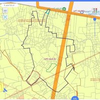 Bán 39Ha, Hàng Đầu Tư, Trang Trại Công Nghệ Cao Trồng Thanh Long Lâu Năm (Dòng Tiền 20-30 Tỷ/Năm)