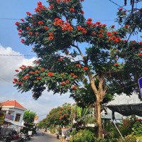 Cập Nhật Bảng Hàng 2025 Mới Nhất Giá Cực Tốt - Kđt Mới Nam Sông Cái - Chỉ Từ 12 Triệu/M2
