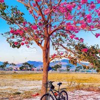 Cập Nhật Bảng Hàng 2025 Mới Nhất Giá Cực Tốt - Kđt Mới Nam Sông Cái - Chỉ Từ 12 Triệu/M2
