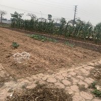 Bán 95Full Chính Chủ Tại Hương Đình .Mai Đình .Sóc Sơn .Hà Nội.