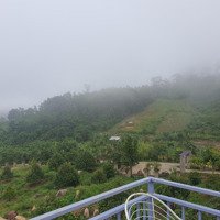 Lô Đất Thổ Cư Ngay Khu Dân Cư Giá Rẻ