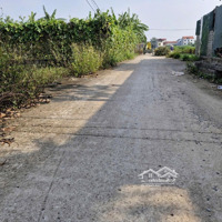 Chính Chủ Cần Bán Gấp Lô Đất Khu Nhà Vườn Đông Đúc -Diện Tích174M2 - Đất 50 Năm Thuộc Bãi Khánh Tân